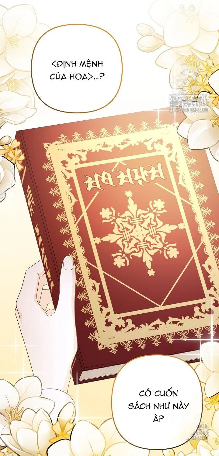 Đừng Cố Chấp Nữa, Chúng Ta Ly Hôn Đi! Chap 1 - Next Chap 2