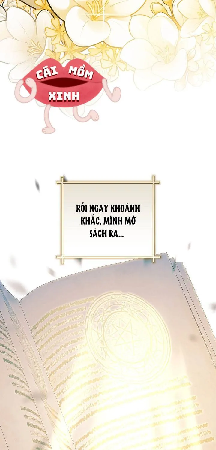 Đừng Cố Chấp Nữa, Chúng Ta Ly Hôn Đi! Chap 1 - Next Chap 2