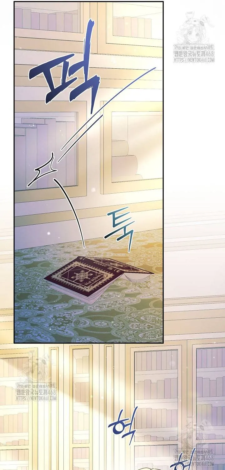 Đừng Cố Chấp Nữa, Chúng Ta Ly Hôn Đi! Chap 1 - Next Chap 2