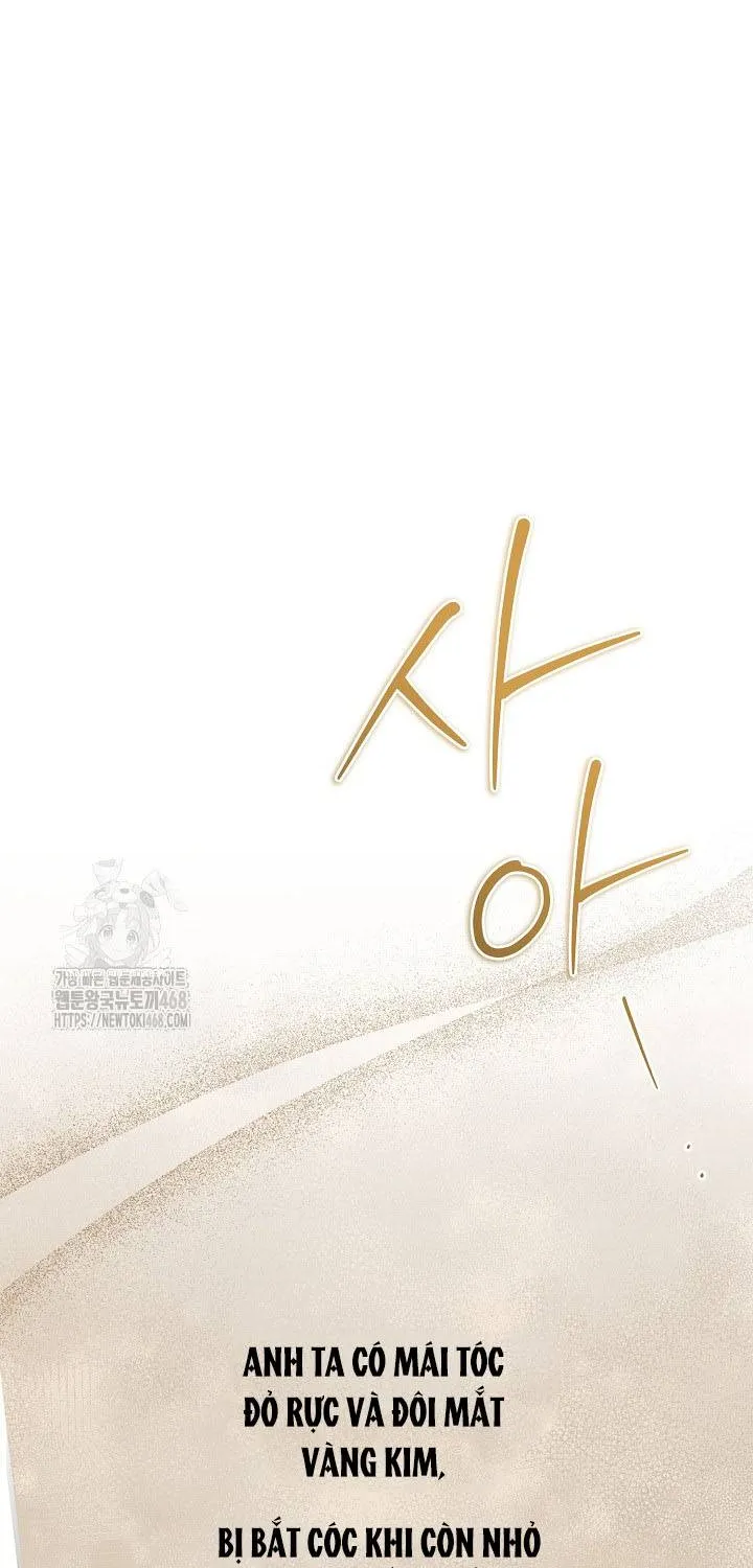 Đừng Cố Chấp Nữa, Chúng Ta Ly Hôn Đi! Chap 1 - Next Chap 2