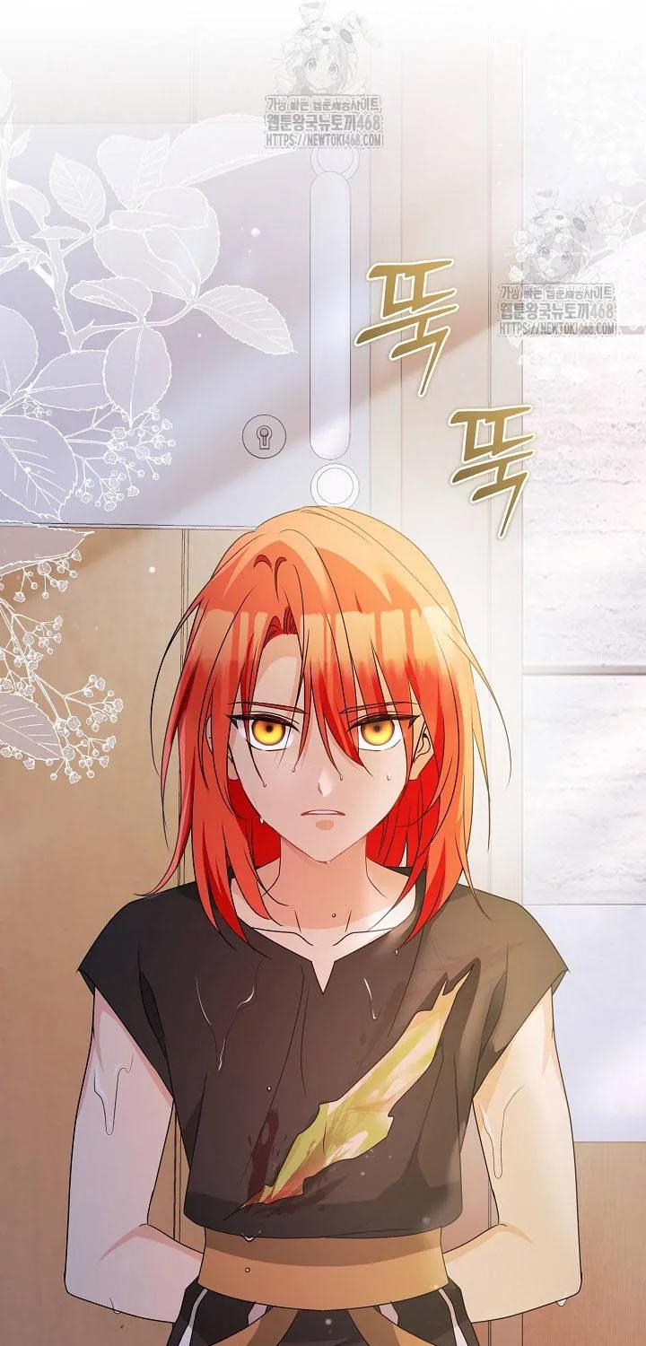 Đừng Cố Chấp Nữa, Chúng Ta Ly Hôn Đi! Chap 2 - Next Chap 3