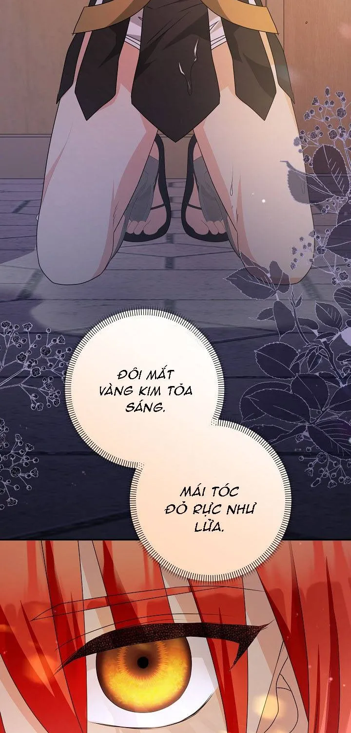 Đừng Cố Chấp Nữa, Chúng Ta Ly Hôn Đi! Chap 2 - Next Chap 3