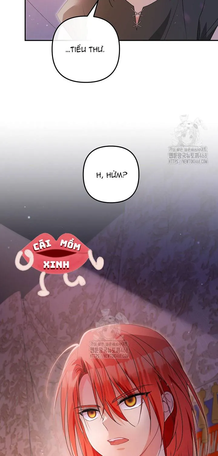 Đừng Cố Chấp Nữa, Chúng Ta Ly Hôn Đi! Chap 2 - Next Chap 3