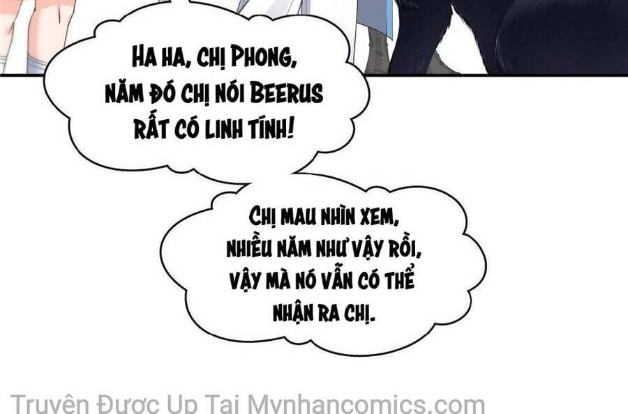 Đúng Như Hàn Quang Gặp Nắng Gắt Chap 275 - Next Chap 276