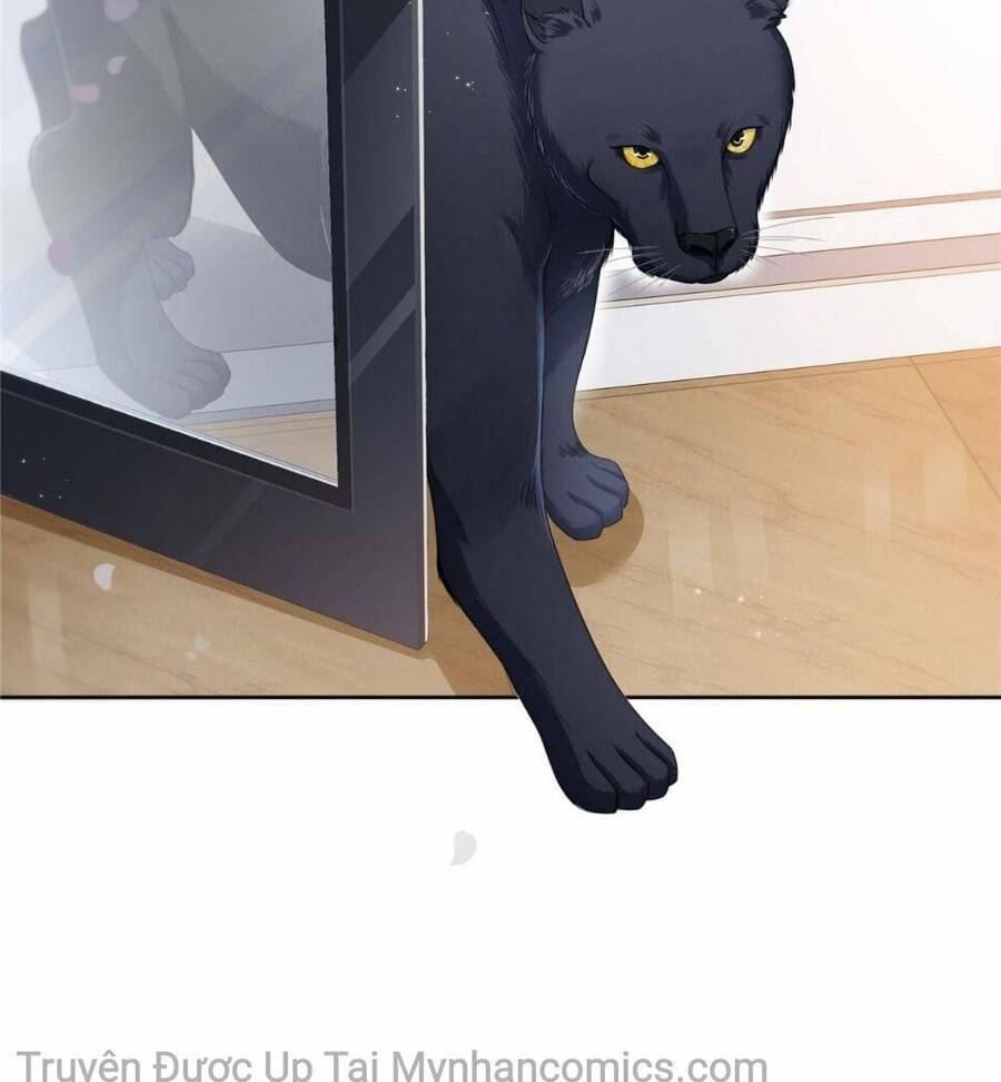 Đúng Như Hàn Quang Gặp Nắng Gắt Chap 277 - Next Chap 278