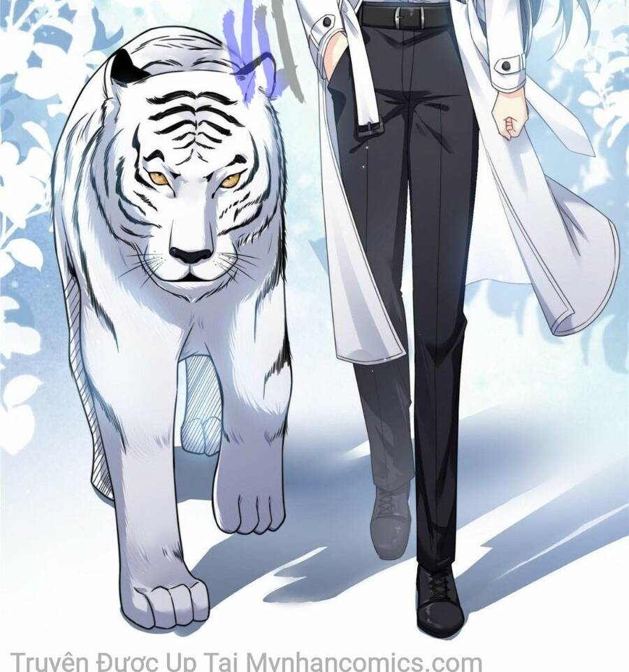 Đúng Như Hàn Quang Gặp Nắng Gắt Chap 277 - Next Chap 278