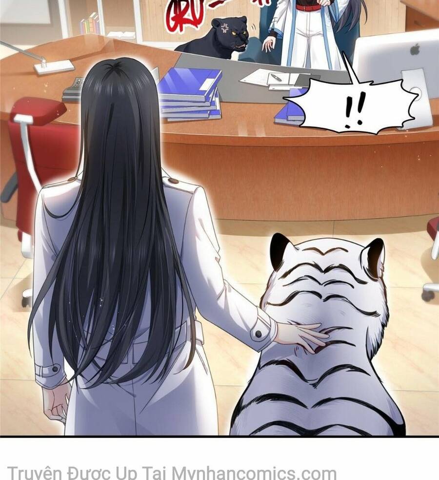 Đúng Như Hàn Quang Gặp Nắng Gắt Chap 277 - Next Chap 278