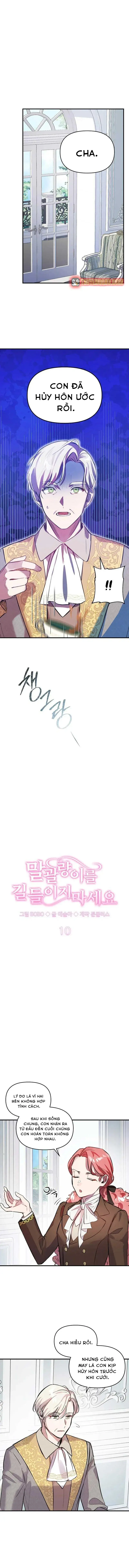 Đừng Thuần Hóa Cô Nàng Đanh Đá Chap 10 - Next Chap 11