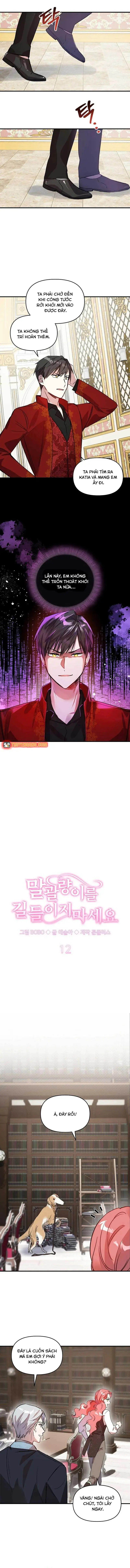 Đừng Thuần Hóa Cô Nàng Đanh Đá Chap 12 - Next Chap 13