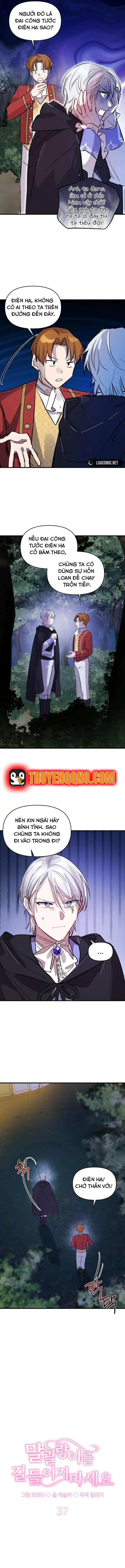 Đừng Thuần Hóa Cô Nàng Đanh Đá Chap 37 - Next Chap 38