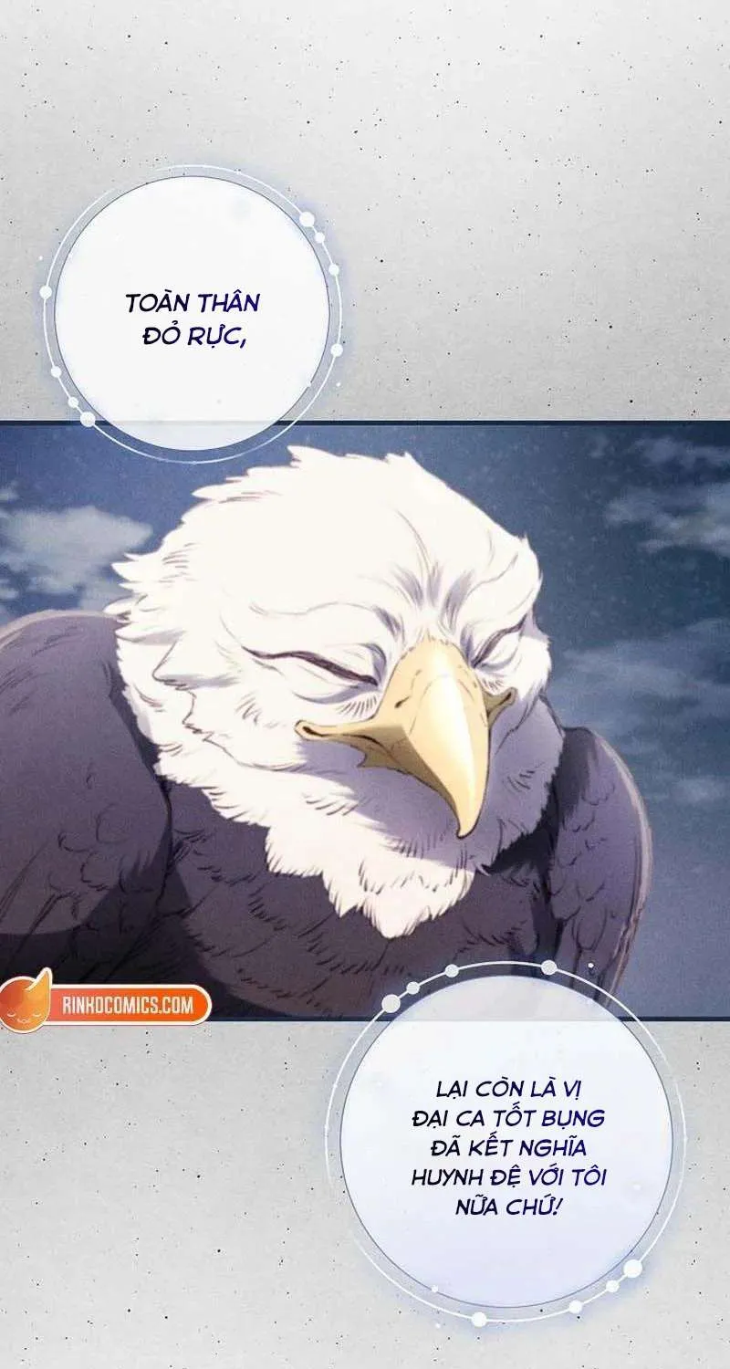 Đừng Tìm Kiếm Ác Nữ Đã Hồi Sinh Chap 5 - Next Chap 6