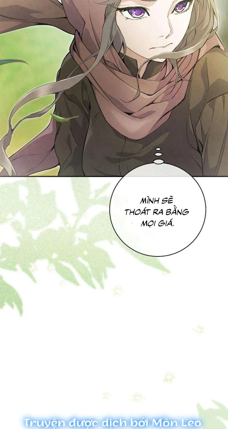 Đừng Tìm Kiếm Ác Nữ Đã Hồi Sinh Chap 6 - Next Chap 7