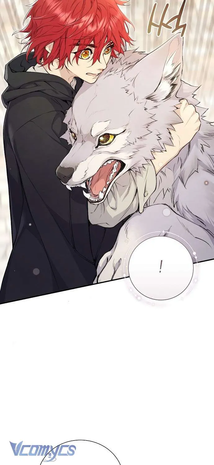 Đừng Tìm Kiếm Ác Nữ Đã Hồi Sinh Chap 7 - Next Chap 8