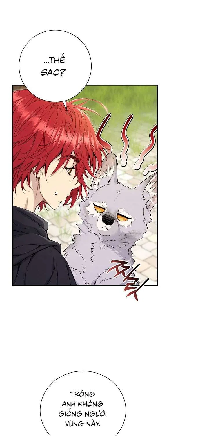 Đừng Tìm Kiếm Ác Nữ Đã Hồi Sinh Chap 7 - Next Chap 8