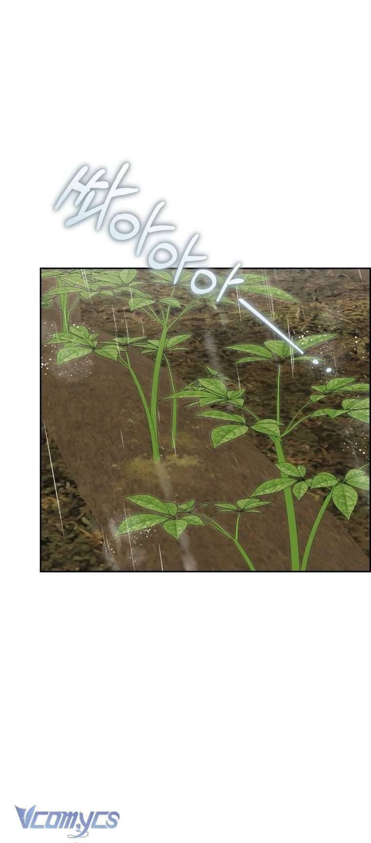 Được Yêu Thương Mà Còn Ngại Ngùng Sao! Chap 94 - Next Chap 95