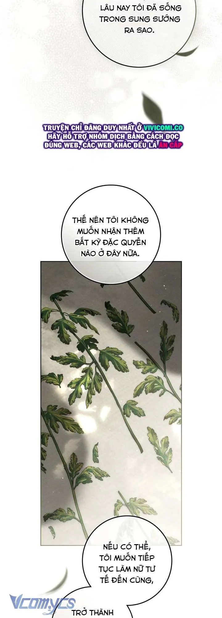 Dưới Bóng Cây Sồi Chap 128 - Next Chap 129
