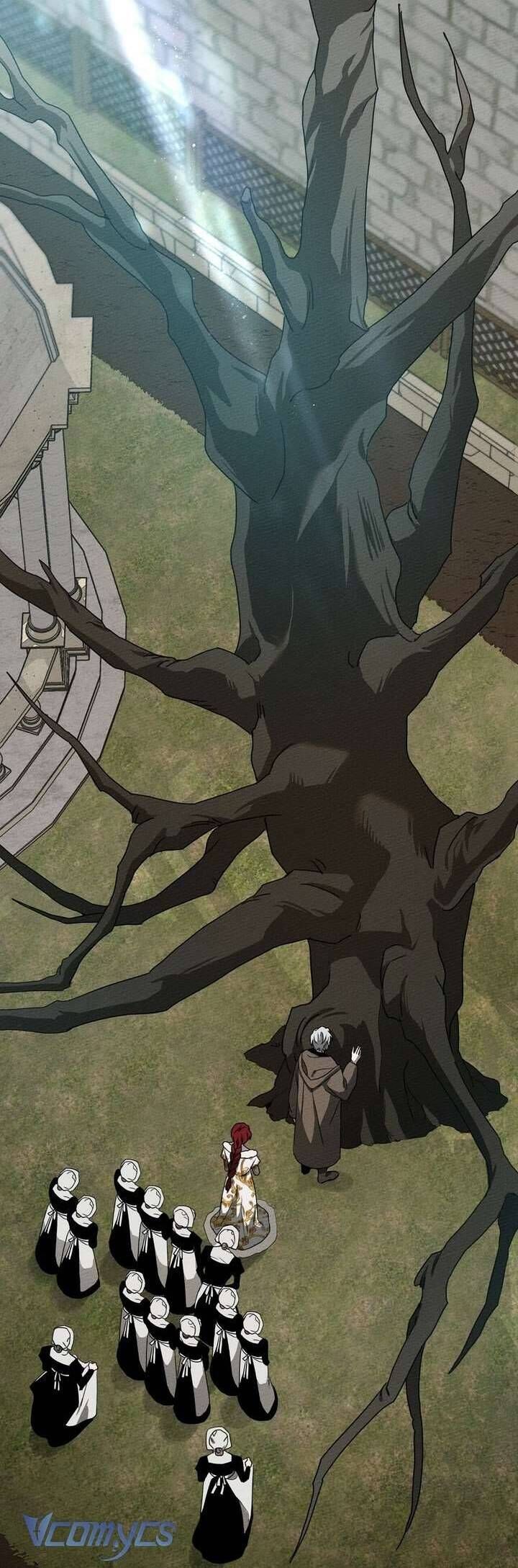 Dưới Bóng Cây Sồi Chap 23 - Next Chap 24