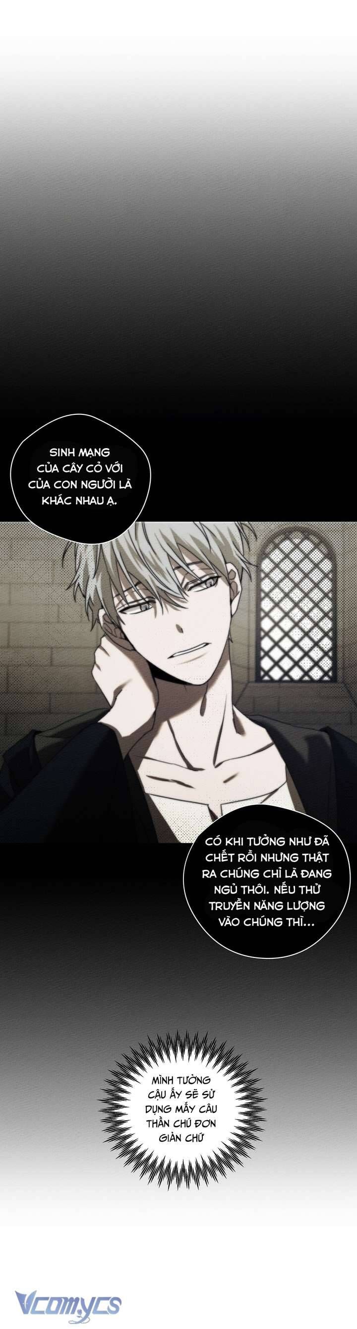 Dưới Bóng Cây Sồi Chap 23 - Next Chap 24