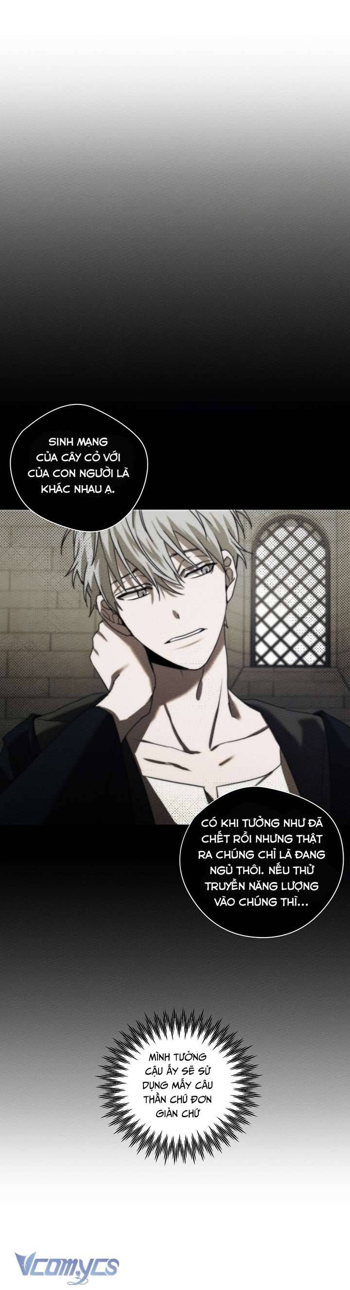 Dưới Bóng Cây Sồi Chap 23 - Next Chap 24