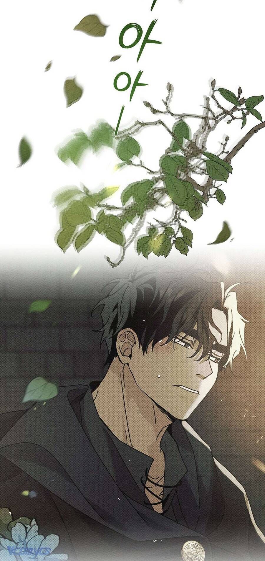 Dưới Bóng Cây Sồi Chap 26 - Next Chap 27