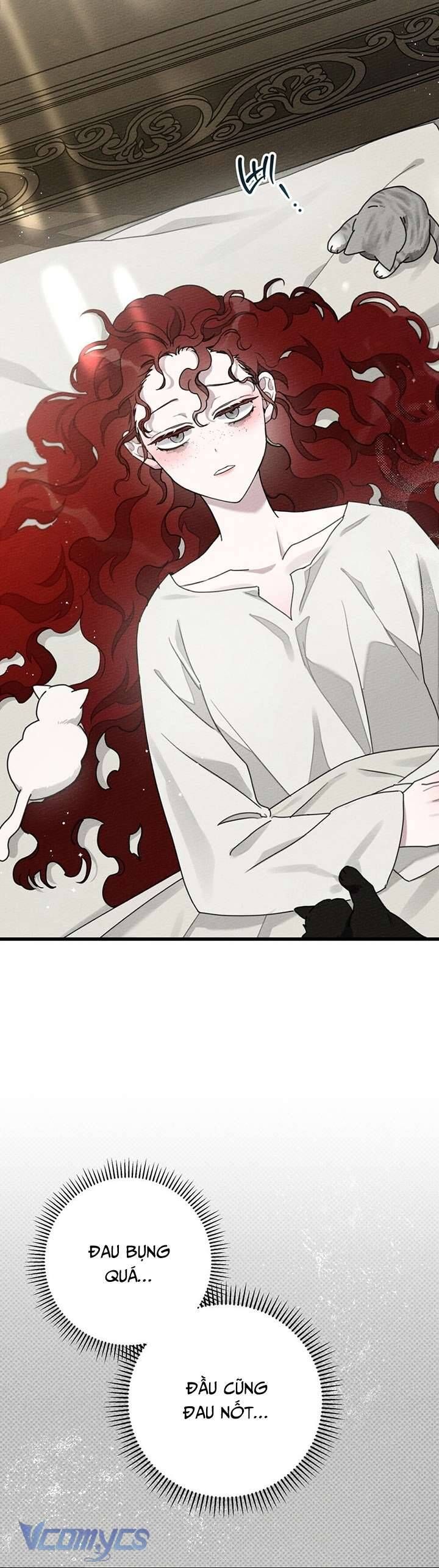 Dưới Bóng Cây Sồi Chap 49 - Next Chap 50