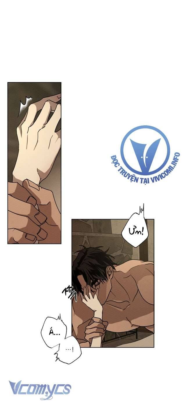 Dưới Bóng Cây Sồi Chap 5 - Next Chap 6