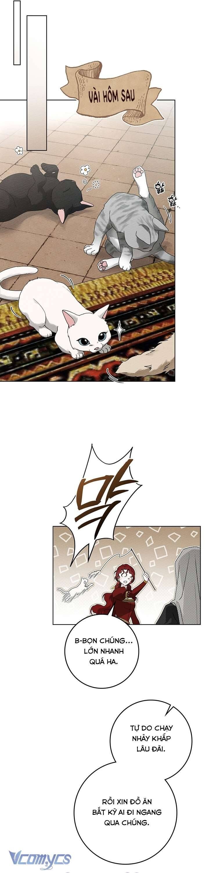 Dưới Bóng Cây Sồi Chap 74 - Next Chap 75