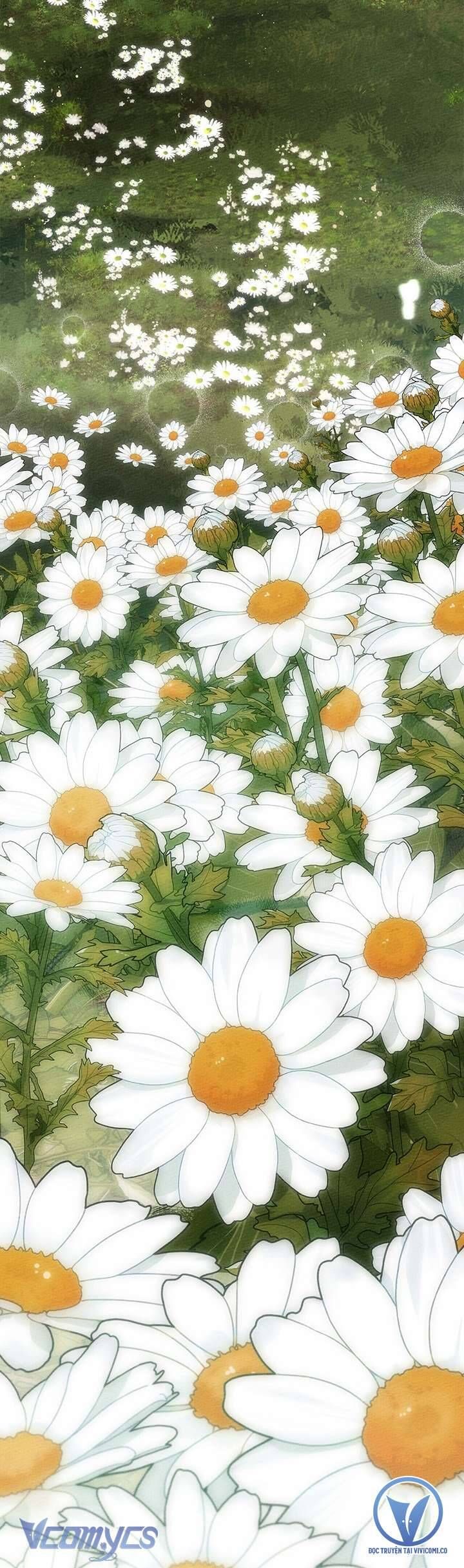 Dưới Bóng Cây Sồi Chap 76 - Next Chap 77