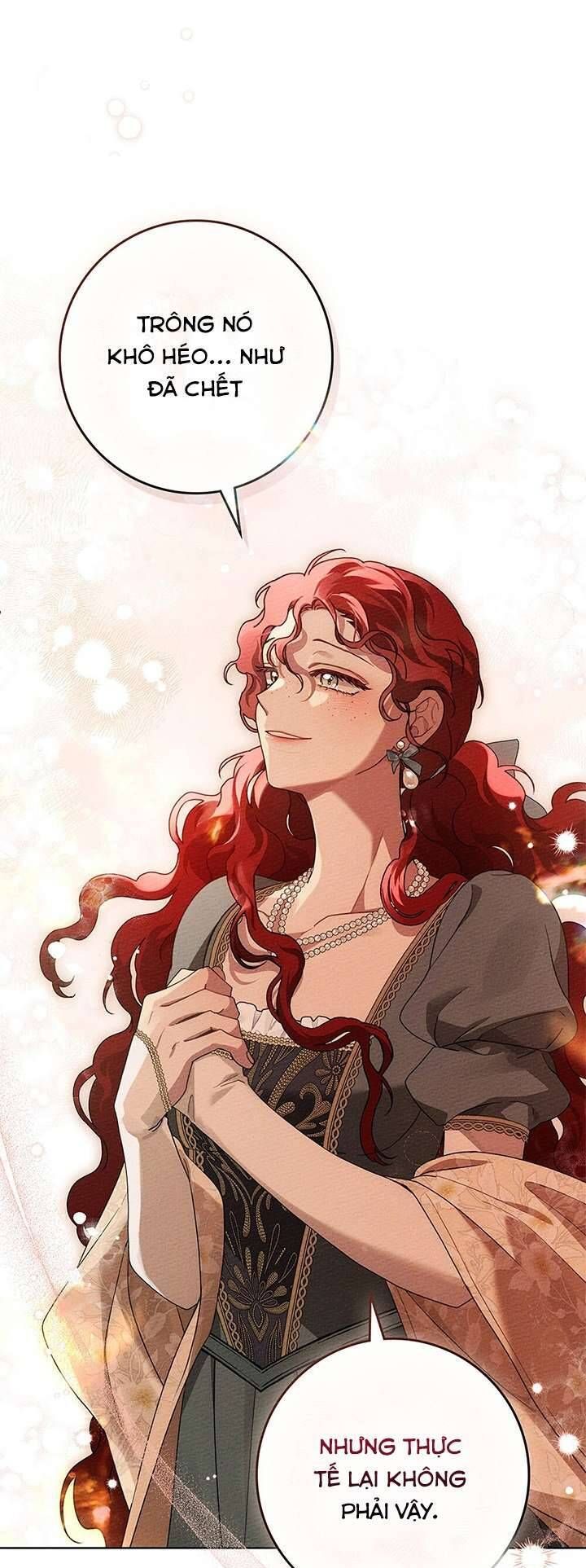 Dưới Bóng Cây Sồi Chap 78 - Next Chap 79