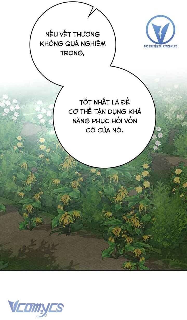 Dưới Bóng Cây Sồi Chap 91 - Next Chap 92