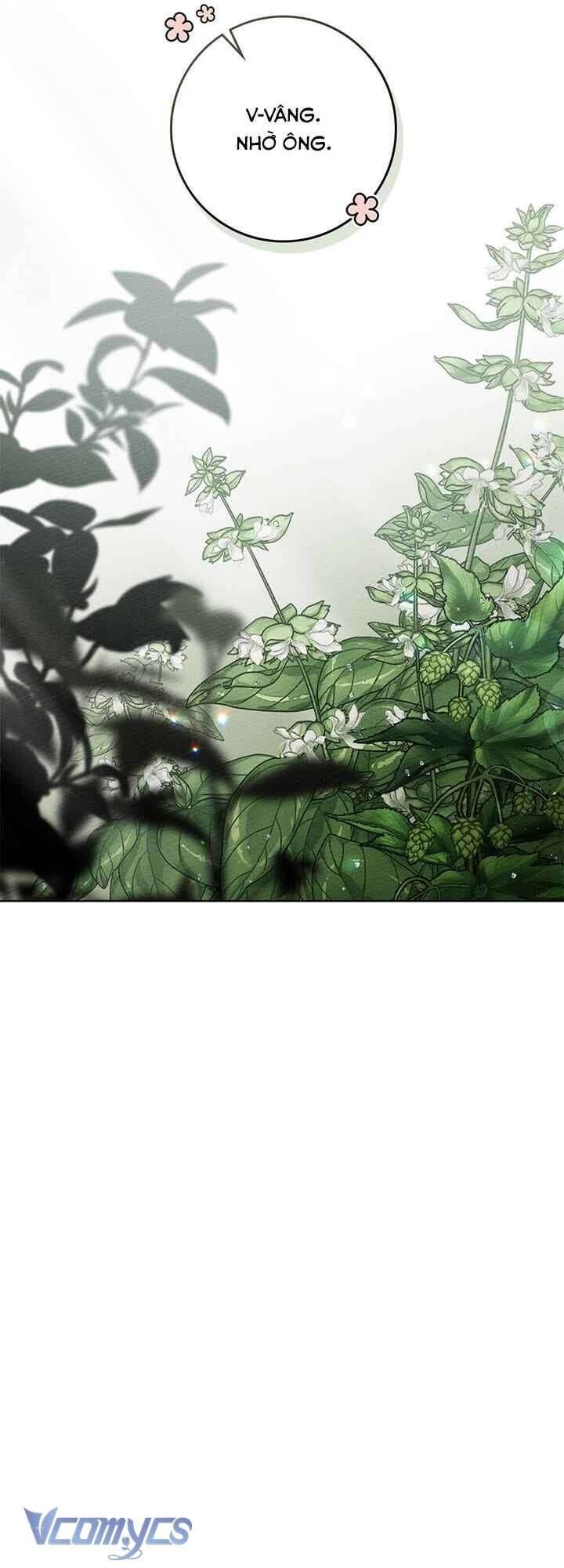 Dưới Bóng Cây Sồi Chap 91 - Next Chap 92