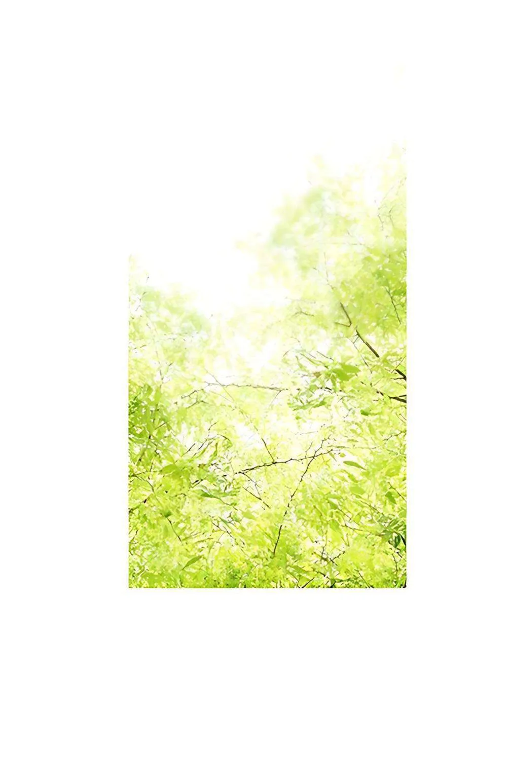 Dưới Rừng Chanh Vàng Chap 6 - Next Chap 7