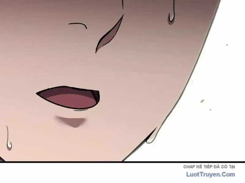 323