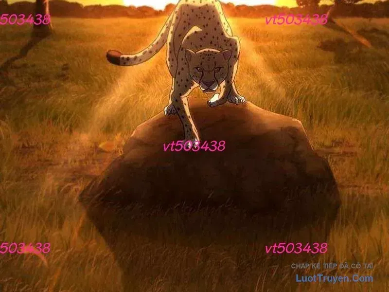 Đường Chuyền Đặc Biệt Của Tiền Vệ Thiên Tài Chap 46 - Next Chap 47