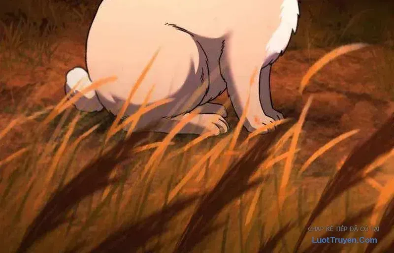 Đường Chuyền Đặc Biệt Của Tiền Vệ Thiên Tài Chap 46 - Next Chap 47