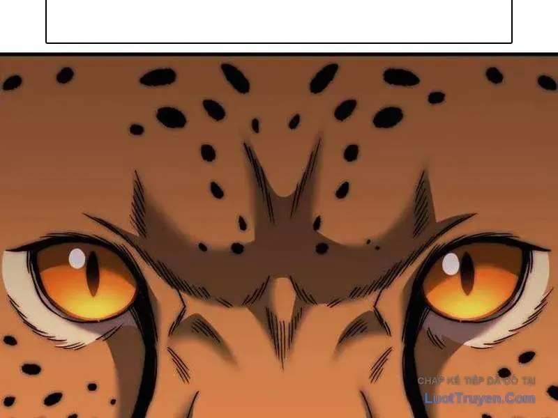 Đường Chuyền Đặc Biệt Của Tiền Vệ Thiên Tài Chap 46 - Next Chap 47