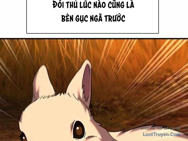 Đường Chuyền Đặc Biệt Của Tiền Vệ Thiên Tài Chap 46 - Next Chap 47