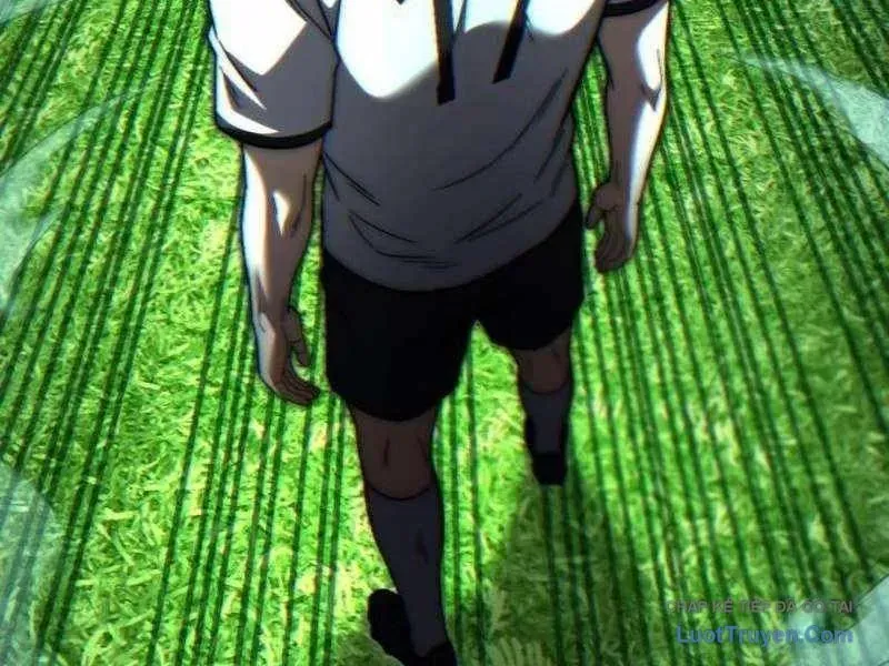 355