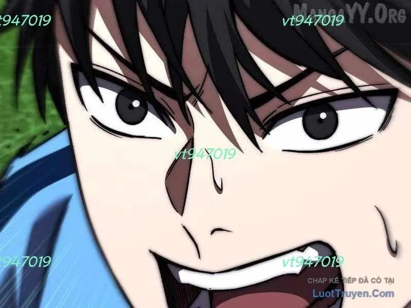 323