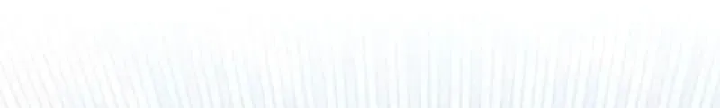 251