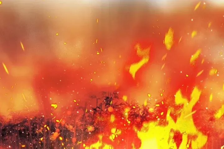 Đường Môn Truyền Kỳ Chap 43 - Next Chap 44