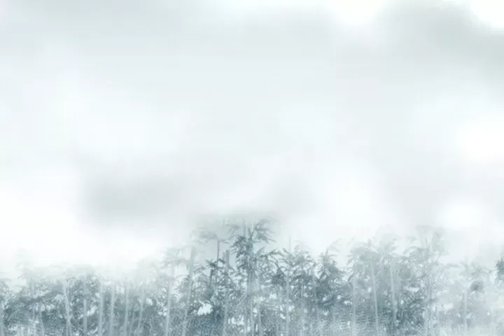 Đường Môn Truyền Kỳ Chap 43 - Next Chap 44