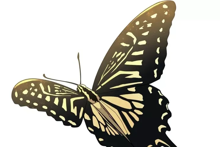 Đường Môn Truyền Kỳ Chap 43 - Next Chap 44