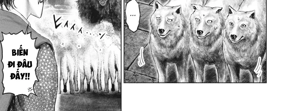 Elden Ring: Con Đường Tới Hoàng Kim Thụ Chap 24 - Next Chap 25