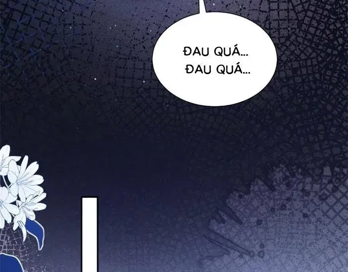 Em Là Tất Cả Tinh Tú Của Anh Chap 51 - Next Chap 52