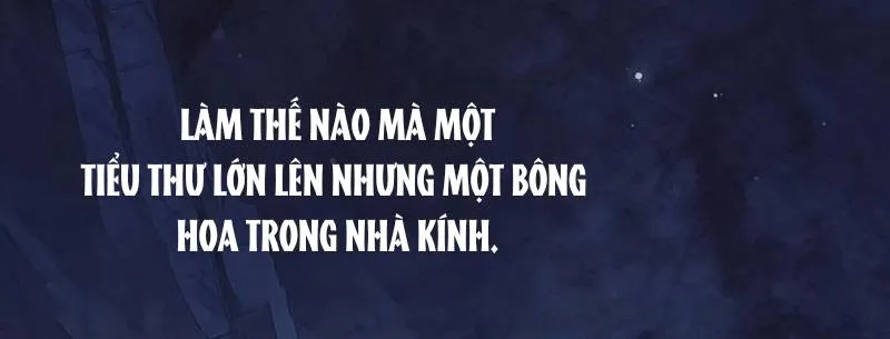 [END SS1] Tôi Cứ Nghĩ Mình Trở Về Là Kết Thúc, Không Ngờ Thể Loại Thay Đổi Rồi! Chap 19 - Next Chap 20