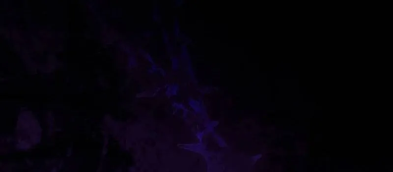 [END SS1] Tôi Cứ Nghĩ Mình Trở Về Là Kết Thúc, Không Ngờ Thể Loại Thay Đổi Rồi! Chap 27 - Next Chap 28