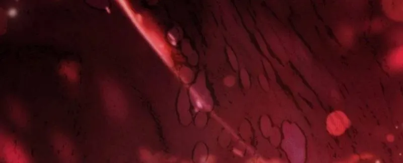[END SS1] Tôi Cứ Nghĩ Mình Trở Về Là Kết Thúc, Không Ngờ Thể Loại Thay Đổi Rồi! Chap 32 - Next Chap 33