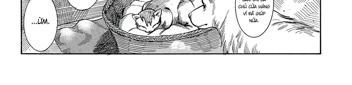 Eternal Ring Chap 0 - Next Chap 1