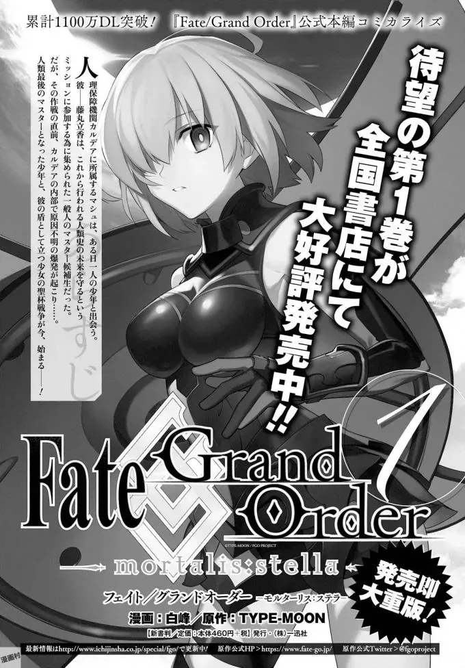 Fate/Grand Order -Mortalis:stella Chap 5.2 - Next Chap 6.2